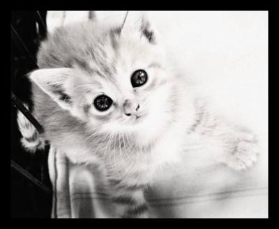 Ohhhhhhhhhhhhhhhhhhhhh