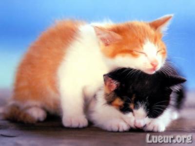 ne m'oublie pas..!!!!!!!!